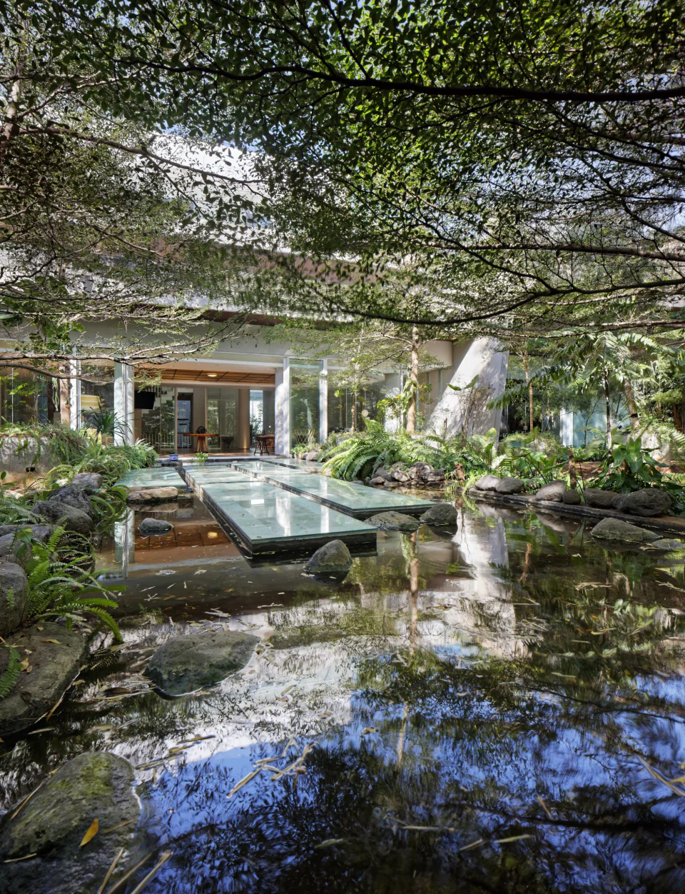 Forest House, photo 6