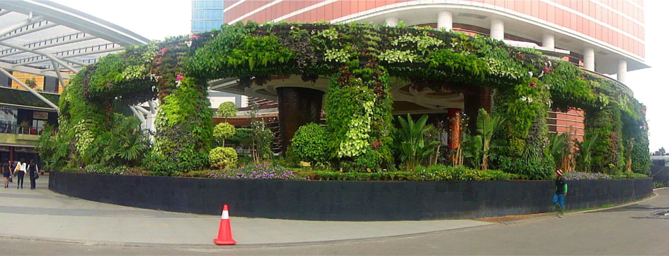 Vertical Garden, photo 20