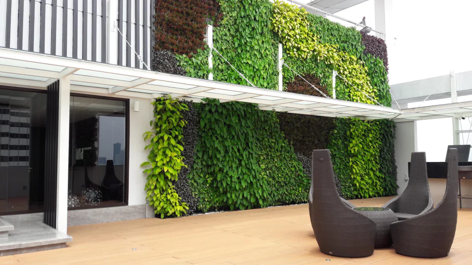 Vertical Garden, photo 7