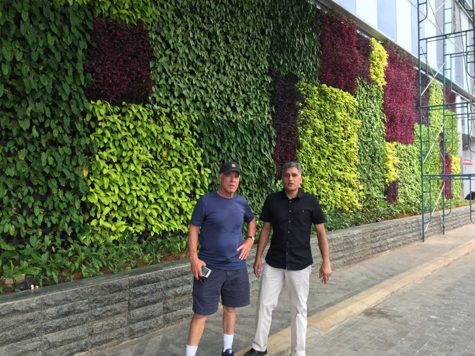 Vertical Garden, photo 17
