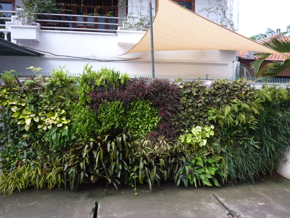 Vertical Garden, photo 23