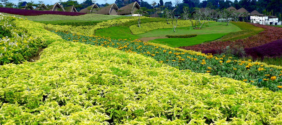 Flowers Hills at Vimala Hills, Gadog, Ciawi