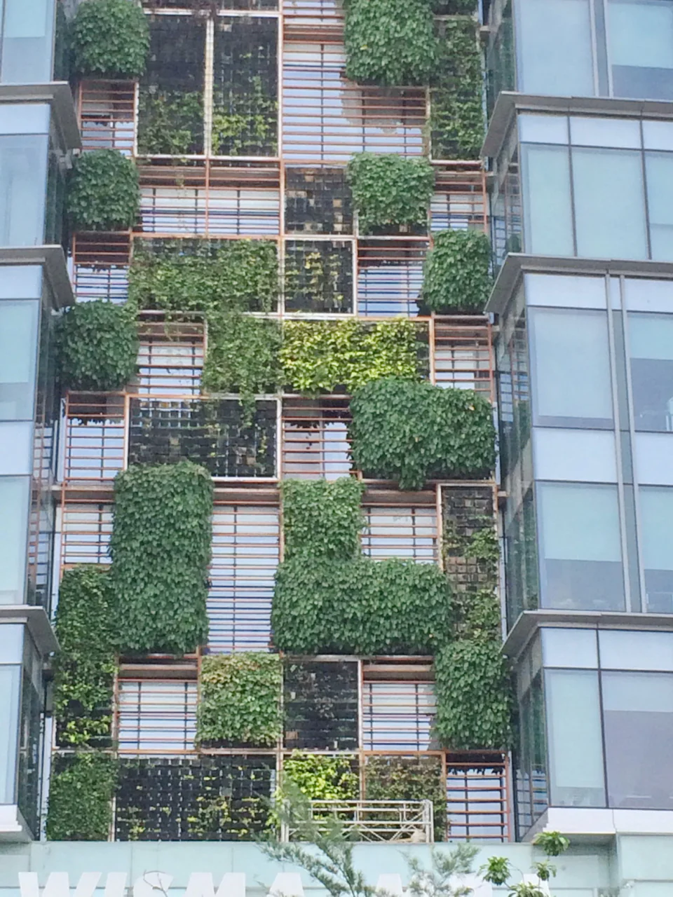 Vertical Garden, photo 14