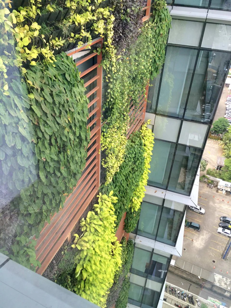 Vertical Garden, photo 13