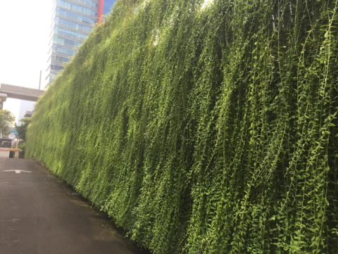 Vertical Garden, photo 12