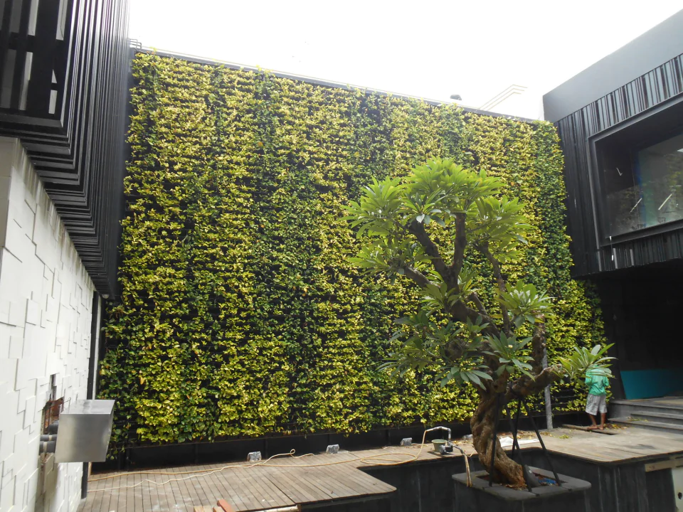 Vertical Garden, photo 10