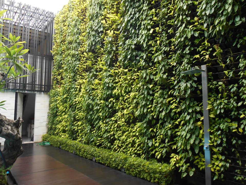 Vertical Garden, photo 9