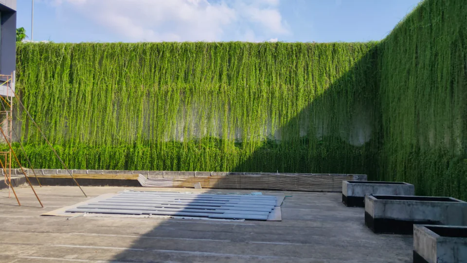 Vertical Garden, photo 8