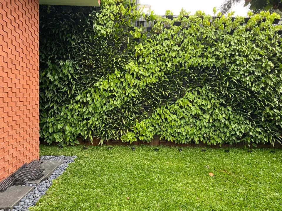 Vertical Garden, photo 3