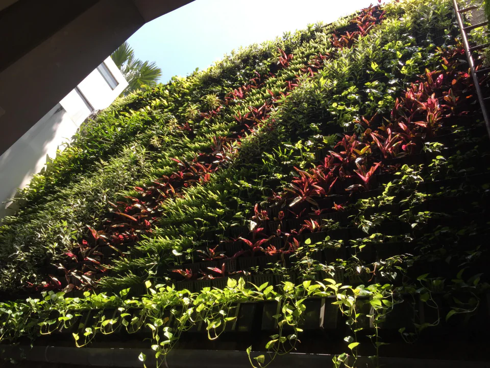 Vertical Garden, Indonesia