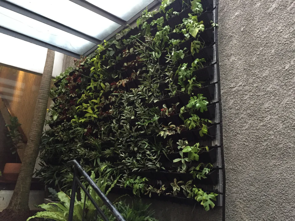 Vertical Garden, photo 2