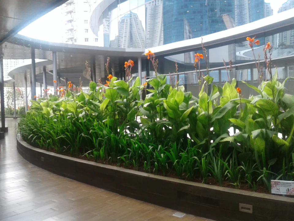 Neo Soho, Podomoro City, photo 2