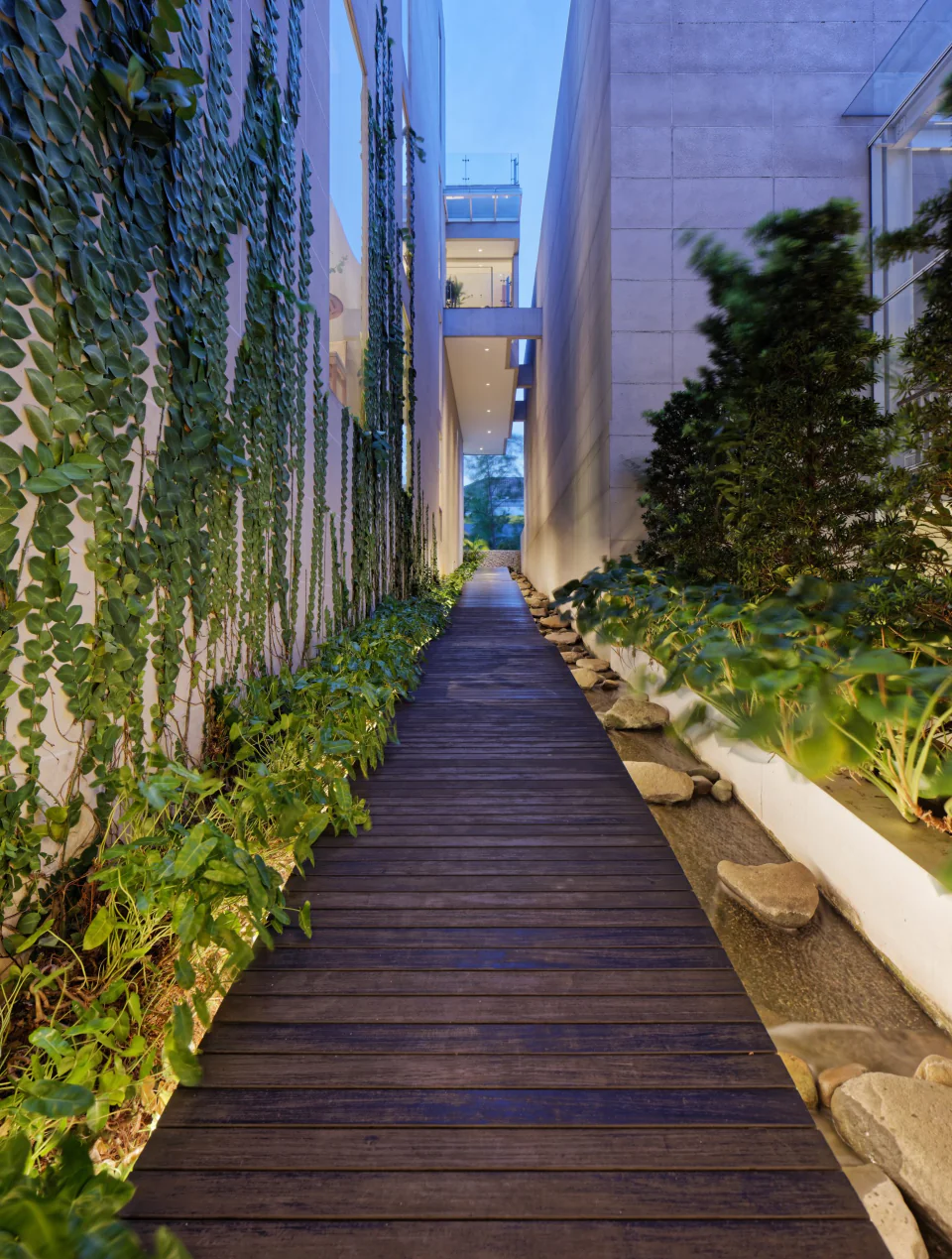 Forest House, photo 3