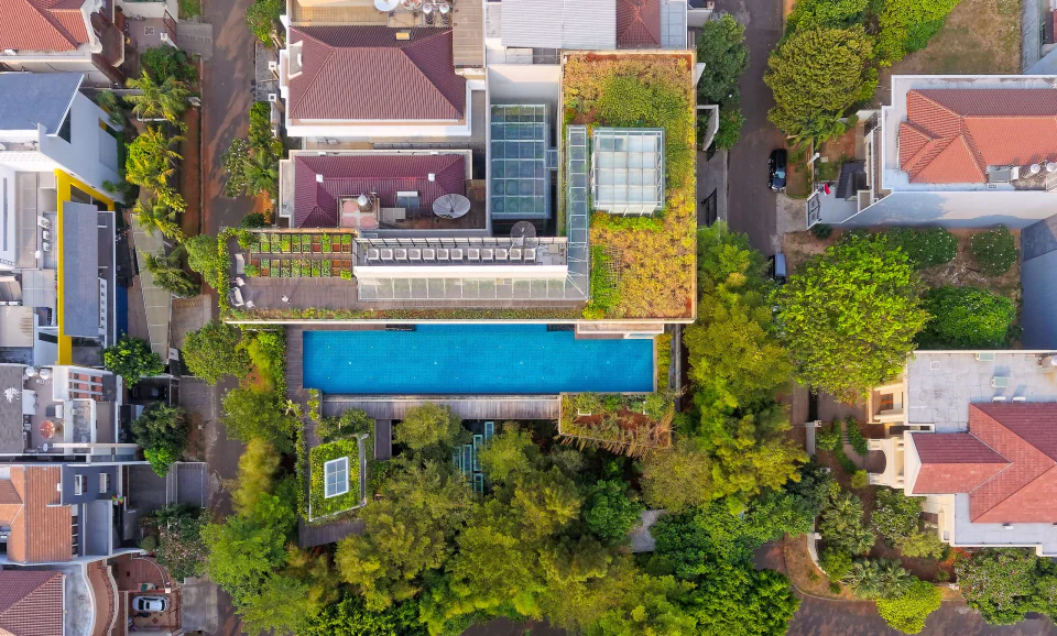 Forest House, photo 8