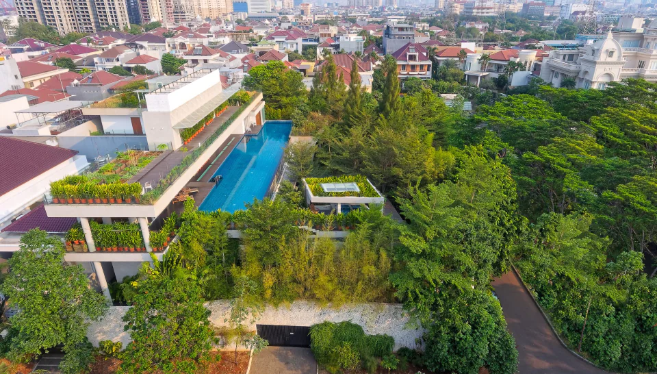Forest House, photo 10