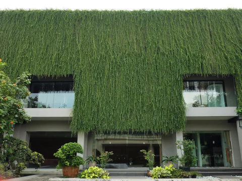 Vertical Garden, photo 24
