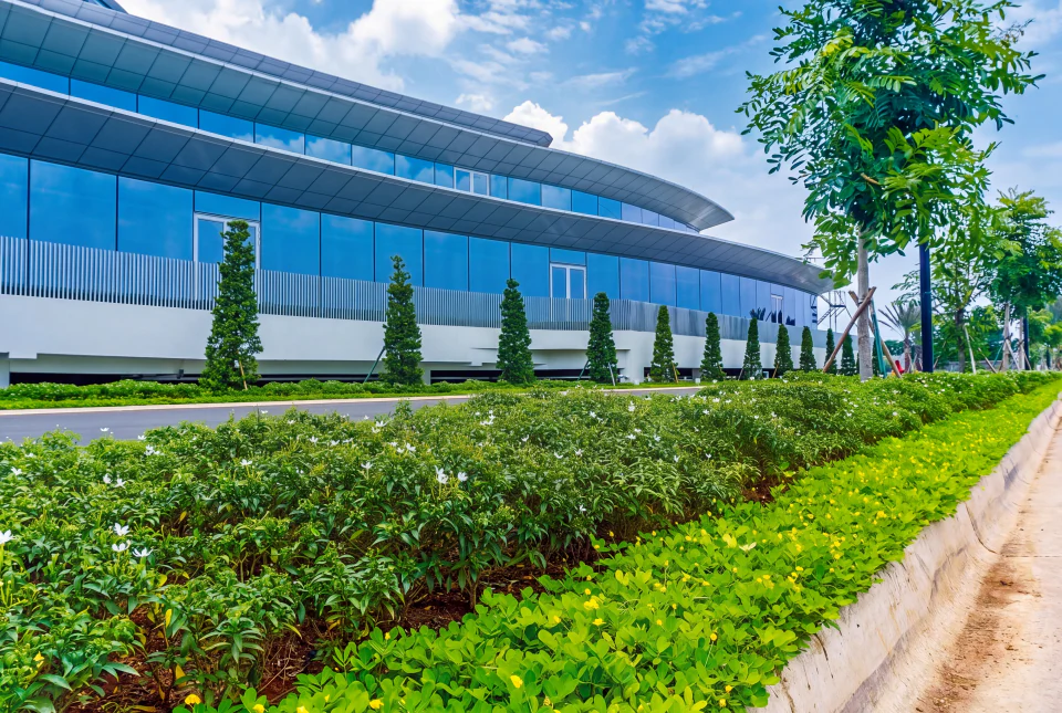 Mayora Headquarter